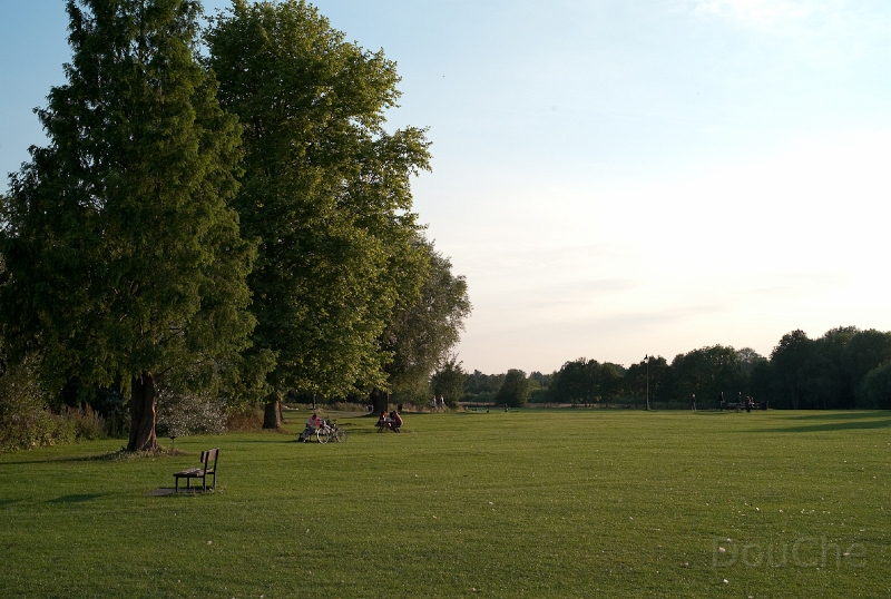 Ed -L1006975.jpg
